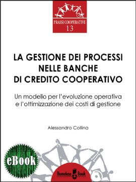 La gestione dei processi nelle Banche di Credito Cooperativo (eBook)